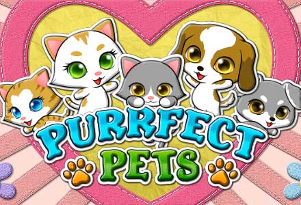 Purrfect Pets at Golden Euro